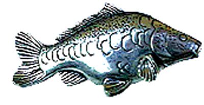 Just Fish Pewter Lapel Pin Mirror Carp